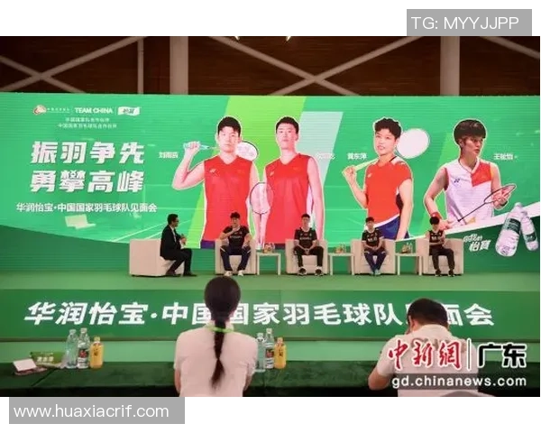 深圳排球队节奏之争引发热议球迷与专家各执己见